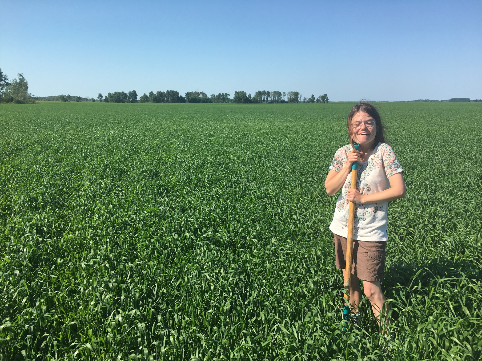 Lis in a Bean Field